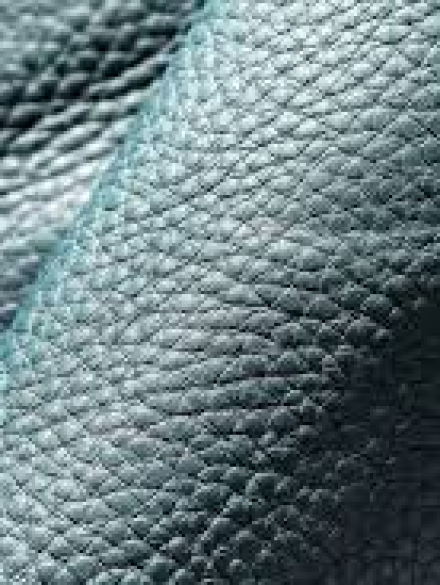 DosemelıkHakıkıDerı